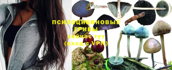 марки nbome Белоозёрский