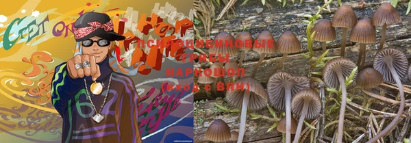 соль ск Белокуриха
